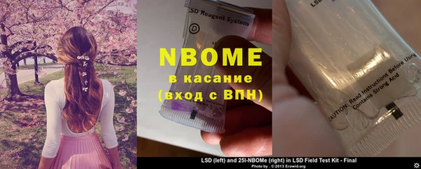 дмт Алзамай
